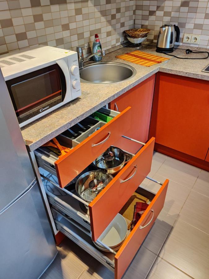Appartement Jaukus Butukas à Druskininkai Extérieur photo
